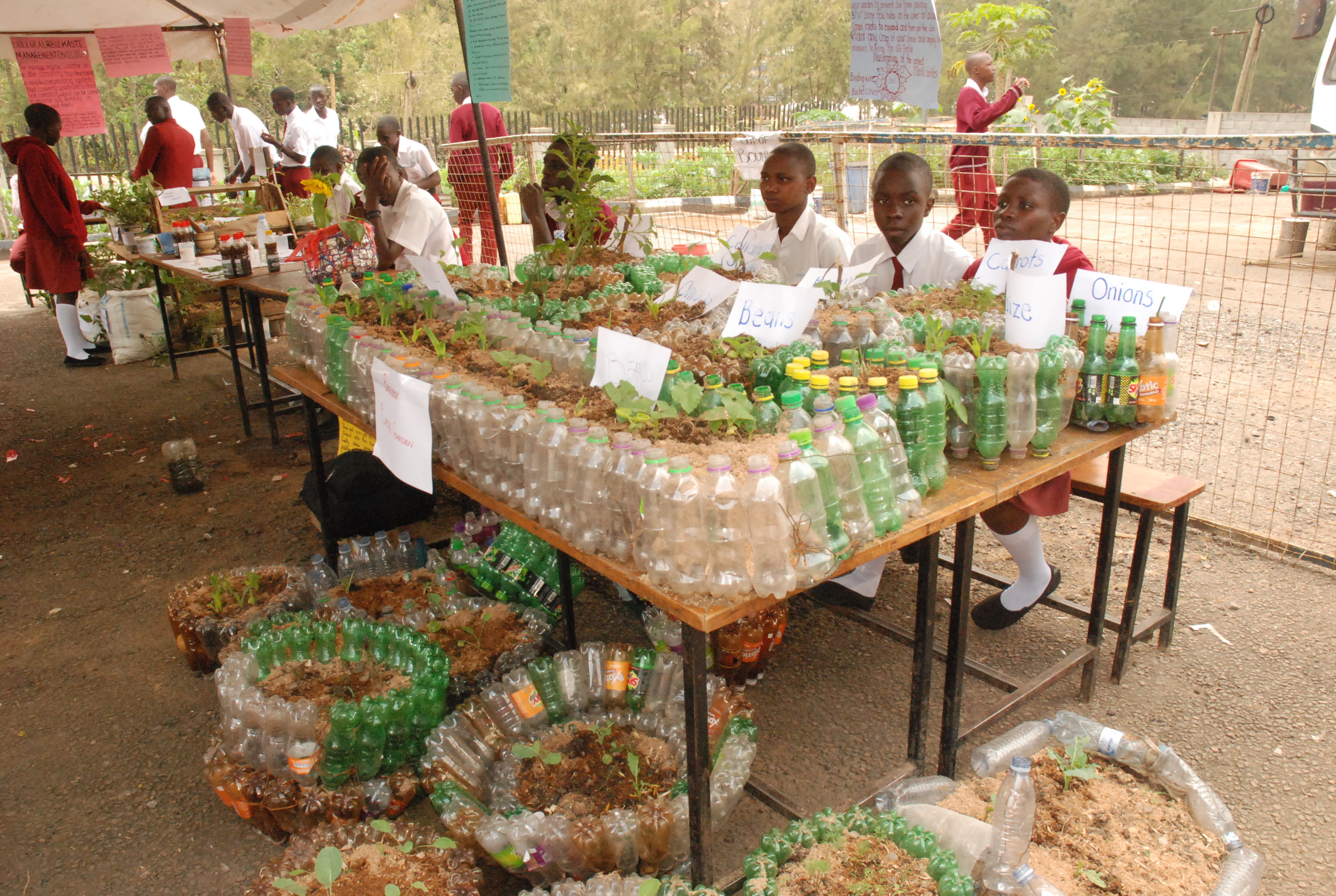 Agriculture